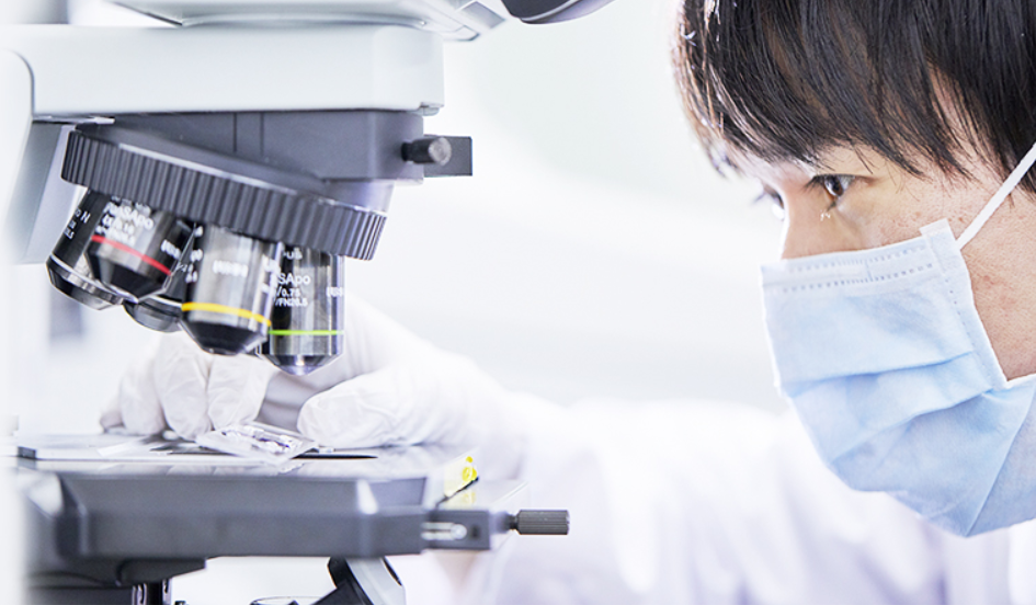 Área de P&D é o ponto forte da empresa.