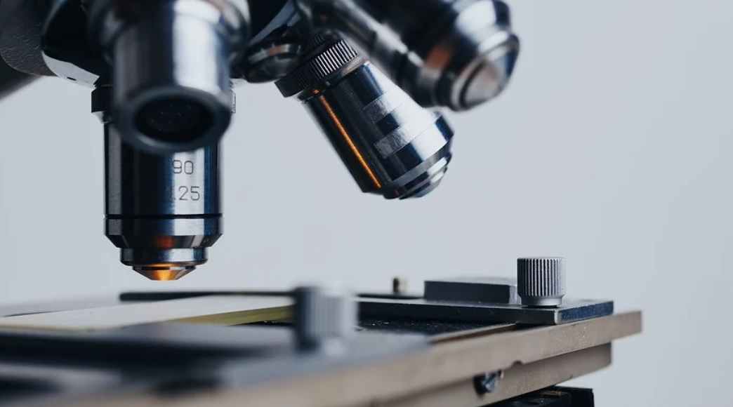 O câncer de bexiga é um dos principais alvos de pesquisa das indústrias farmacêuticas.