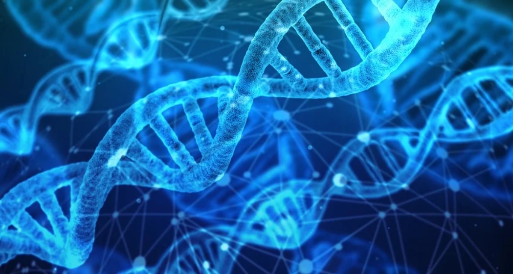 O segmento de P&D é fundamental dentro de uma indústria para criação de novos fármacos, garantindo assim novos fármacos que irão combater doenças e me