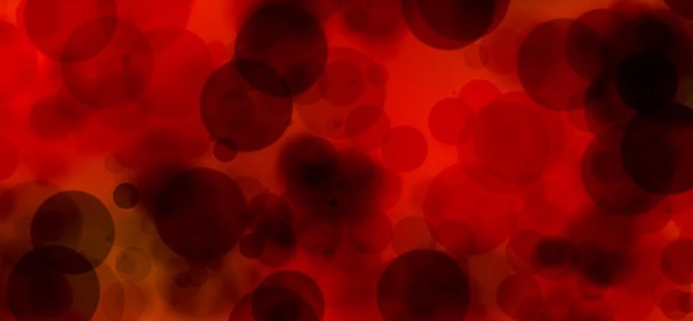 Os medicamentos para hemofilia tem sido o foco de diversas indústrias farmacêuticas, visando um mercado bastante competitivo