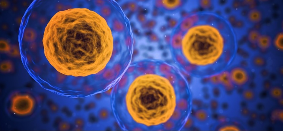 Câncer de pulmão de células não pequenas é um grupo de cânceres de pulmão que se comportam de forma semelhante, como carcinoma de células escamosas e 