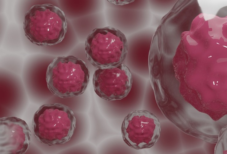 O mercado de medicamentos para doenças de célula tronco é bastante expansivo, e as indústrias farmacêuticas vem crescendo nessa segmentação.