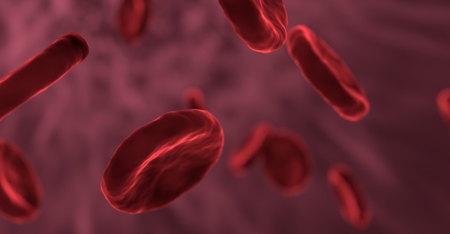 Dados da OMS apontam a ocorrência de 33.519 casos novos de doenças oncohematológicas, 17.543 mortes e 90.512 pessoas vivendo com doenças hematológicas
